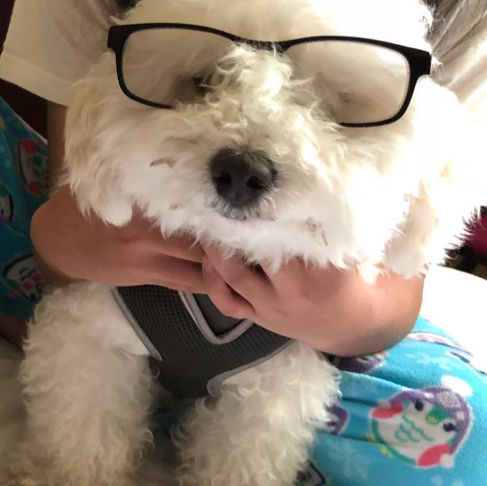 Meet your Posher, Lu